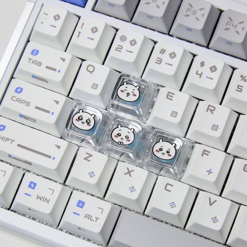 ชิคาวะ 4 ชิ้น คีย์แคปแบบโปร่งแ - 3D Printing Keyboard บทวิจารณ์และราคา
